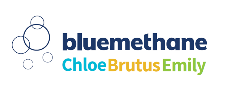 bluemethaneproducts